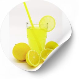 Hausgemachte Limonade mit frischen Zitronen bei MySoup-MyFood