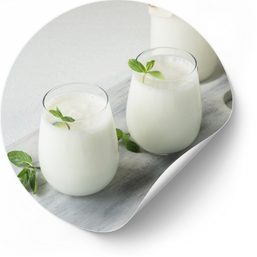 Salatalklı Ayran – Türkisches Joghurtgetränk mit Gurke bei MySoup-MyFood